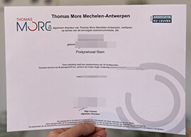 How to Order a Thomas More Mechelen Antwerpen degree?