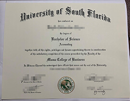 Unusual methods to get a University of South Florida degree.