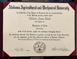 The steps to order a Alabama A&M University degree in 2025.