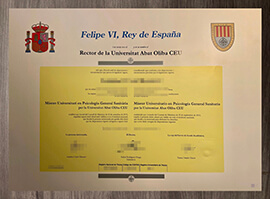 3 Proven ways to own a Universitat Abat Oliba CEU degree.