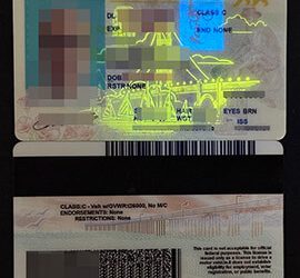 How to Purchase California Driver License? 在线办理高质量加州驾驶执照。