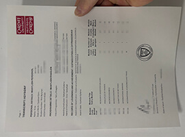 I am interested in buying a Cardiff University transcript online.
