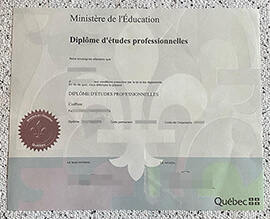 Where to make Diplôme d’études professionnelles certificate?