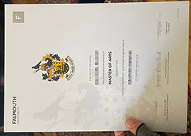 How to Use a replicate Falmouth University degree for jobs?