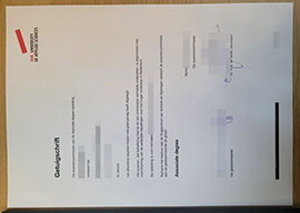 Obtain replicate HAN University of Applied Sciences degree.