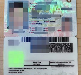 How much to order a Illinois Driver’s License? 高仿伊利诺伊州驾照ID卡.