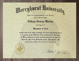 How many days does to order a Mercyhurst University degree online?