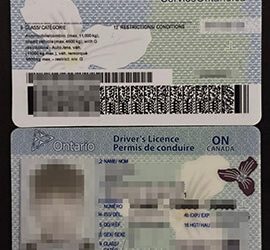 How long does it take to get a Ontario Driver’s Licence? 办理安大略省驾驶执照