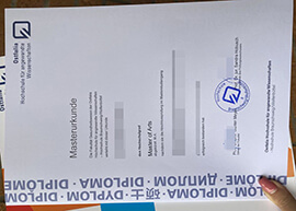 Order a Ostfalia Hochschule für angewandte Wissenschaften Urkunde.