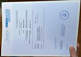 The steps to order a Rwth Aachen University Zeugnis online.