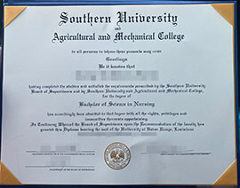 How much to order Southern University and A&M College degree