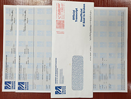 Can I order a realistic UMass Boston transcript and envelope