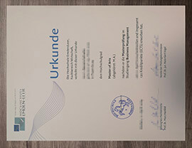 Brilliant way to Order a Hochschule Emden Leer Urkunde.