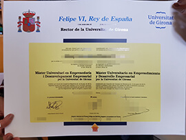 Attractive prices to Order a Universitat de Girona degree.