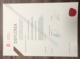 How to own the University of Groningen diploma within one week?