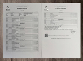 How to make Bahçeşehir University transcript? Buy fake BAU degree.