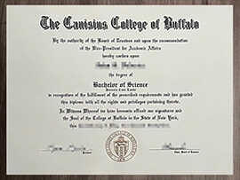 Actionable Ways to Get a Canisius University diploma in 2 weeks.