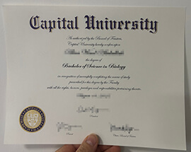 3 Pro Tips for Earning Your Capital University Degree online