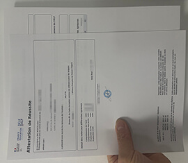 Quickly customize DELF Attestation de Reussite transcript.