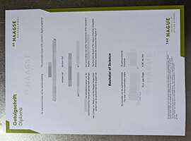 Can I Customized a De Haagse Hogeschool diploma to find a job?