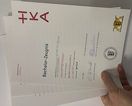 How to get an Hochschule Karlsruhe Zeugnis easily online?