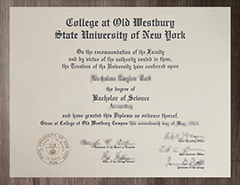 Fast Methods To Obtain SUNY Old Westbury degree online.