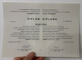 Why Should I Order a Technical University of Košice degree?