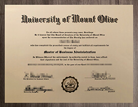 The Key To Successful Get An University of Mount Olive degree.