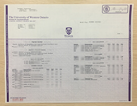 Get a replacement copy of the University of Western Ontario transcript