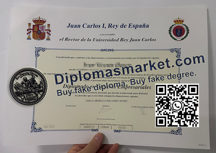 Universidad Rey Juan Carlos degree