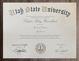 A viable way to earn a Utah State University degree online.