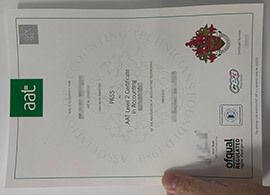 How to make a AAT Level 2 certificate in Accounting online?
