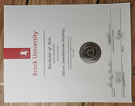 Order a Verified Brock University diploma for Your Career.