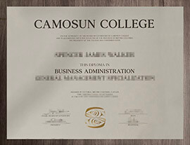 Reasons to Get a Copy of Camosun College diploma Online.