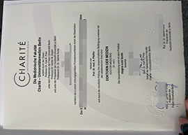 Can I Obtain a Charité Berlin University of Medicine degree?