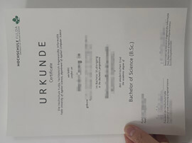 How long does it take to buy a Hochschule Fulda Urkunde?