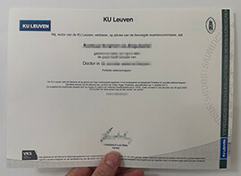 Enhance your education with a custom KU Leuven degree online