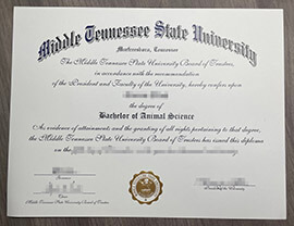Best Reasons to order a Middle Tennessee State University degree.