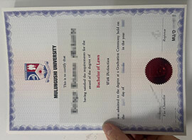 What Do I Need to Order a Mulungushi University degree?