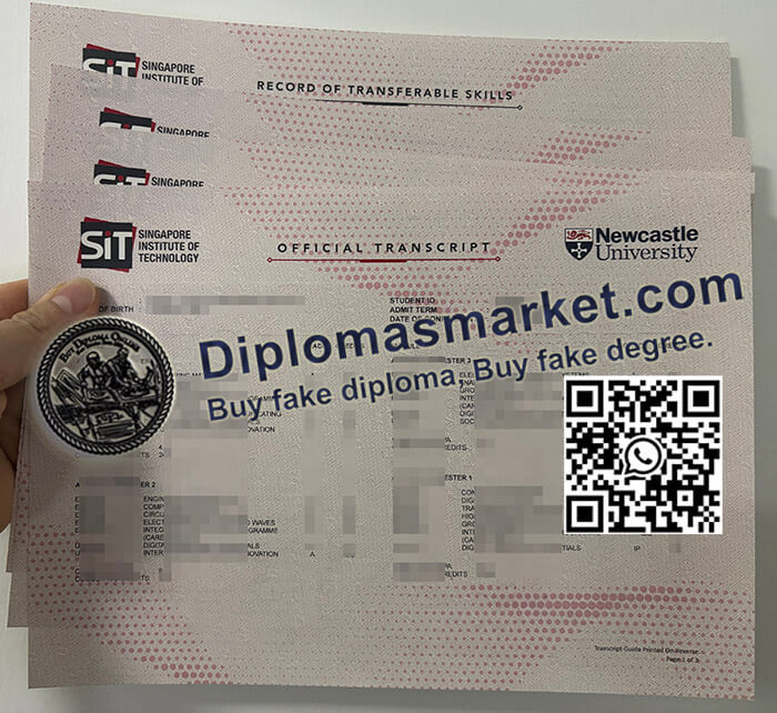 Newcastle University in Singapore diploma