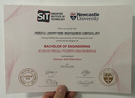 How I get a Newcastle University in Singapore degree in 10 days?