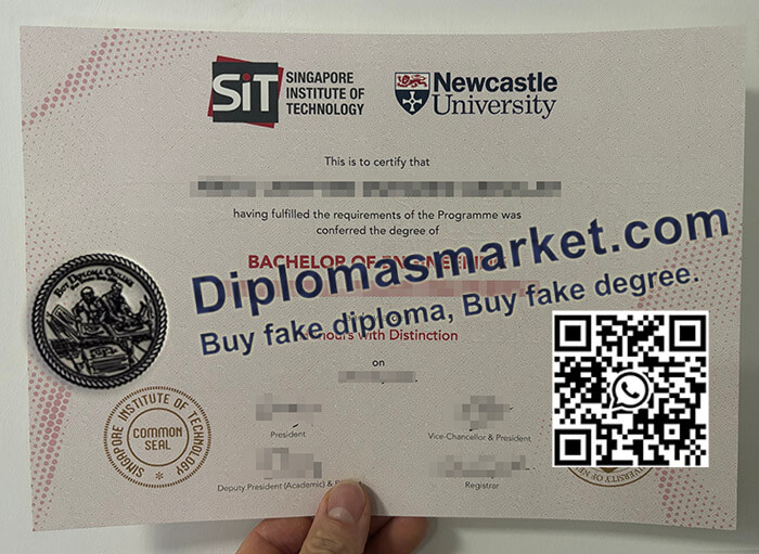 Newcastle University in Singapore diploma