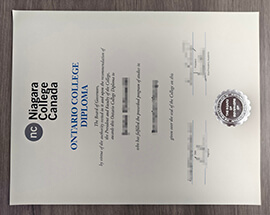 How to get a copy of Niagara College degree in 10 days?