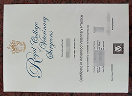 Making a copy of an Royal College Veterinary Surgeons certificate.