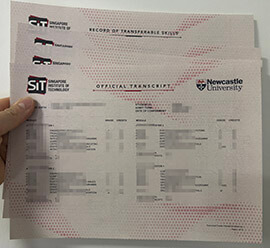Where to make a Newcastle University in Singapore transcript