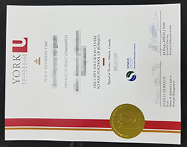 Making a copy of an Schulich School of Business certificate online.