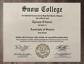 Who can produce a realistic copy of my Snow College degree?