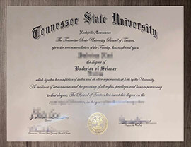 How I get a Tennessee State University degree in 10 days?