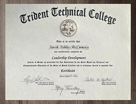 Where can I Purchase a Trident Technical College degree?