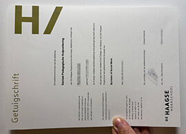 Can I find a good job with a De Haagse Hogeschool Getuigschrift?